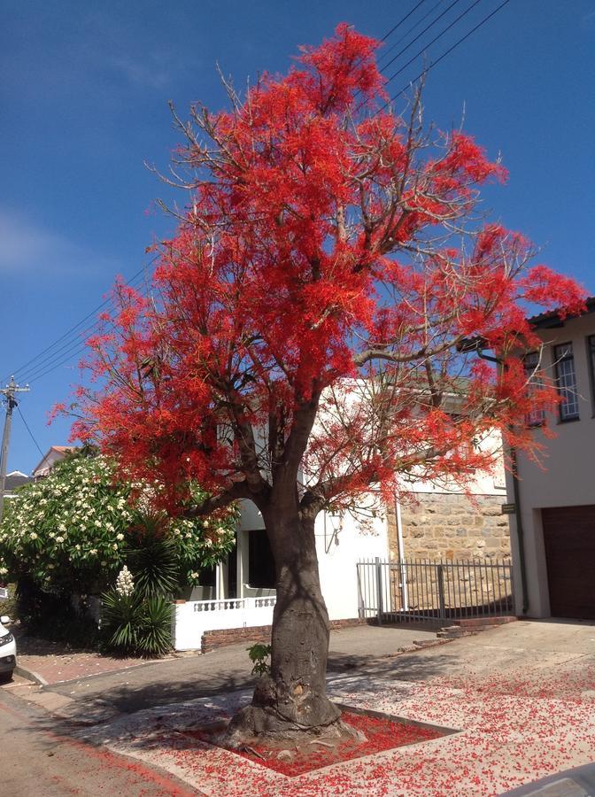 Park House Lodge Mossel Bay Exterior foto